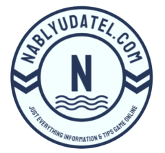 Nablyudatel.com